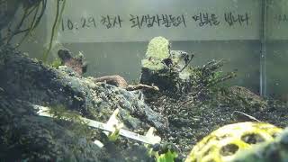 [1029참사 추모 어항방송] Aquarium Live - 2022.12.08 Thu KST