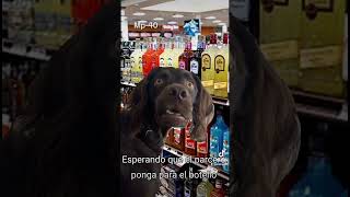 Esperando que el parcero ponga para el botello