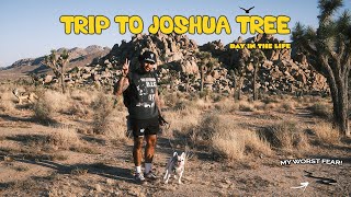 Escaping LA for a Couple Days | trip to joshua tree