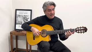 Babak Amini Guitar Classes #128, Scales, Chords and Harmony #78