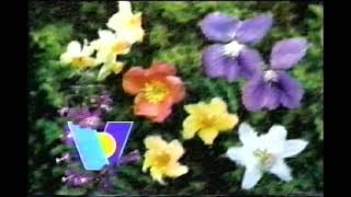 Flowers - Vision TV [Bumper Ident 1996]