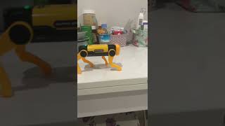 Boston Dynamics ROBOT DOG Clone #shorts #short