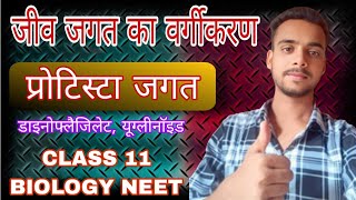 प्रोटिस्टा जगत। जीव जगत का वर्गीकरण। CLASS 11th BIOLOGY। NEET । NCERT । Ankit Bhaiya