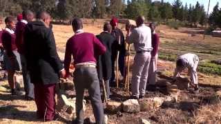 Homestead Gardening Guides in Lesotho