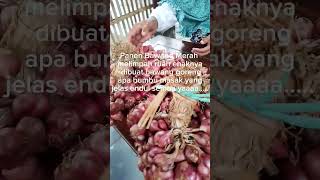 BAWANG MERAH UNTUK BUMBU DAPUR TAMBAH NIKMAT YA