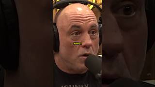 Rogan: The Mystery Behind Epstein's List