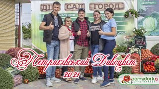 Фестиваль “Петриківський Дивоцвіт”