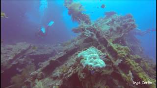 USS Liberty Wreck - Bali - Indonesia