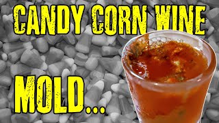 Candy Corn Wine Disaster - WHY IS IT SO MOLDY!?!