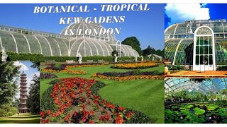 Kew Gardens, Royal Botanic Gardens, is a world-renowned botanical and tropical garden in London.