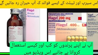 flagyl ka poltry me istimal|flagyl uses in poltry|doctor birds farm