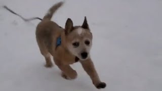 Zeus vs a Frozen Beach