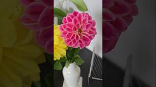 Flower harvest,  flower vase arrangement #flowers #plants #dahlia #garden #shorts #usa #indian