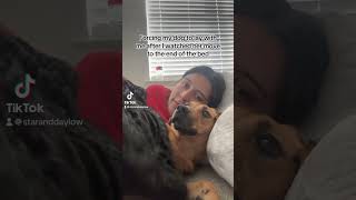 A dog's cuddle is the best cuddle🥰 #funny #fypage #dogsoftiktok #dogs #trending #blowthisup