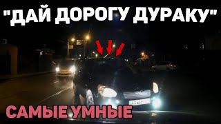 Автоподборка "Дай Дорогу Дураку"🙍‍♀️Умники на Встречке #252