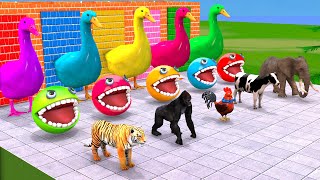 5 Giant Duck Cartoon,Tiger,Cow,rabbit,Gorilla,Hamsters,Dog,Cat Wild Animals Crossing Fountain