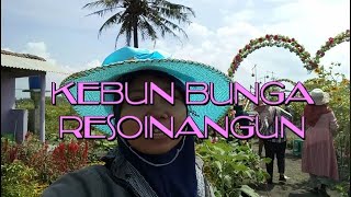 Jalan-jalan Ke Jogja | Kebun Bunga Resoinangun Yogyakarta | Wisata Jogja