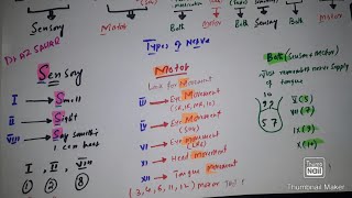 Type of nerve with Mnemonic. sensory, motor and both