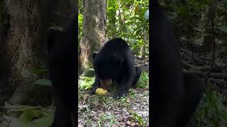 Kipaku savoring each bite of corn with pure relaxation!