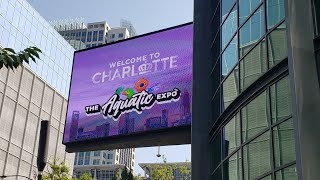 Clips from The Aquatic Expo in Charlotte (June 10-11, 2023)