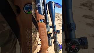 Sáhara time🐪🏜️ #video #sorts #big #blue #PCP Guns.⚠️Reclamos de cetreria para halcones y caza .🦈🔱