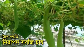 জৈব পদ্ধতিতে সবজি চাষ - Organic method of vegetable cultivation - Around of bengal