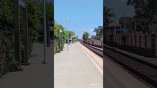 AMTRAK 6908 RACES THROUGH CBV WITH 4 TAP AND SUPER MARIO BROS #carlsbadvillage #amtrak #train #6908