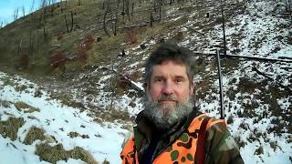 MULE DEER AND ELK HUNT!  TURN UP THE VOLUME!  WESTERN MONTANA! ROCKY MOUNTAINS!