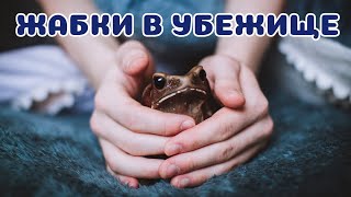 Распаковка ЖАБОК. Приехали рожать в Волгоград!