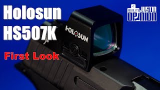 Holosun HS507K on SIG P365XL