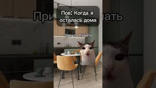 Не пов, а рил 😊 #polly_k #youtube #рекомендации #подписки