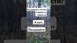 Как думаешь ты?