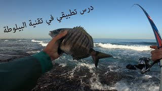 الحلقة 1 : التفاصيل الكاملة لخرجة الصيد بالبيلوطة، من العجين إلى متعة القتال مع الشرغو العنيد 🎣