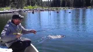 Bass Fishing Crane Prairie Reservoir