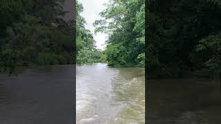 Navegando por el río de punta gorda