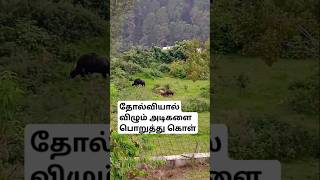 தோல்வியால் விழும் அடிகள்.#shortyoutube #motivation #tamilmotivation #shortsviral #shortfeed