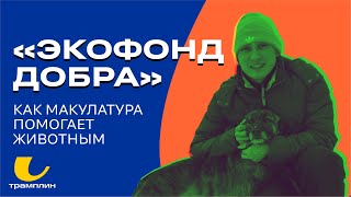 «ЭКОфонд добра» как макулатура помогает животным