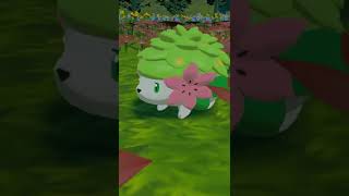 How To Get Shaymin Land + Sky Form In Pokemon Legends Arceus!