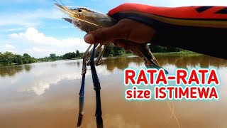 GILA!!! UDANG GALAHNYA BESAR SEMUA - MANCING UDANG GALAH SUNGAI SIAK