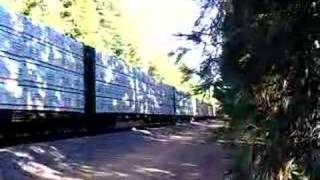 Lake Almanor:  Train!  Train!