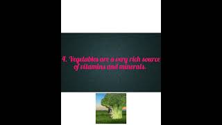 Write a short essay on vegetables