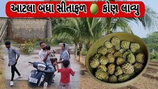 Bhavesh bhai ને pooja ક્યા થી આવ્યા ? || આટલા બધા સીતાફળ કોણ લાવ્યુ || #familyvlog #vlogger #village