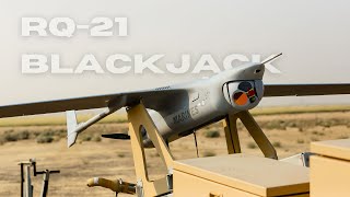 RQ-21 Blackjack: The Drone That Sees All and Outflies Every Enemy