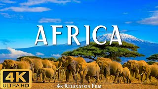 AFRICA 4K ULTRA HD (60fps) - Scenic Relaxation Film with Cinematic Music - 4K Relaxation Film