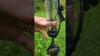 Tropical Storm Beryl | Lots Of Rain At Our Farm In Michigan! #beryl #garden #farmlife #homestead