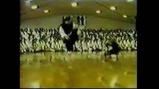 Shorinji Kempo - Embu