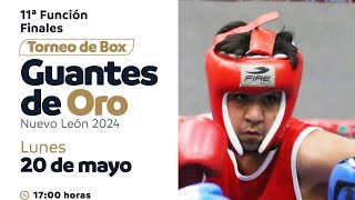 11ª Función Finales del Torneo de Box "Guantes de Oro" Nuevo León 2024.