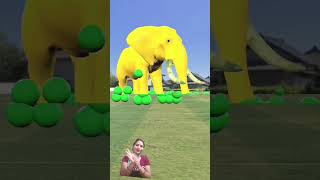 cute elephant🦣🐘 video with variation #satisfying #asmr #fwm #youtube #