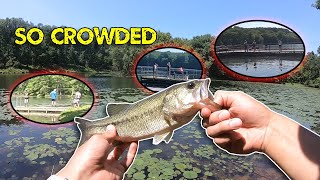 I Caught LOTS of Bass at CROWDED Lake