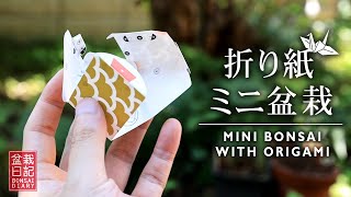 折り紙でミニ盆栽を作る OriBon オリボン 【Bonsai diary 盆栽日記 8/8】初心者の簡単盆栽の作り方 育て方 やり方 モミジ シダ 苔 maple moss EOS R5 撮影